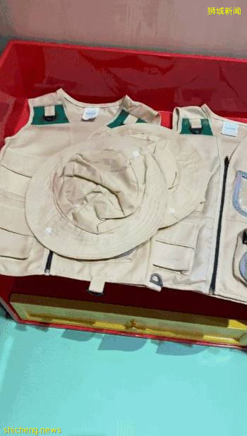 送票!新加坡最大室內遊樂場,居然在東部打造了一個“森林之家”,孩子的最愛