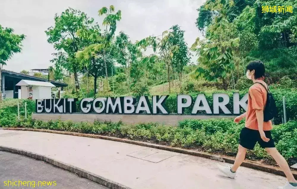 戶外徒步新去處！新加坡新開的7個公園你都遛過了沒