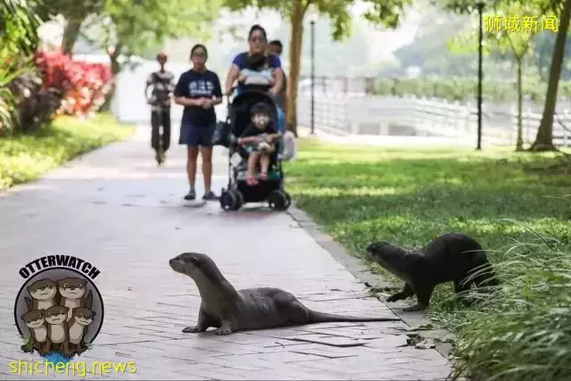 【新盤速遞】新加坡東海岸 D15 LIV@MB 即將發售｜南北向理想戶型 馬林百列的海濱生活