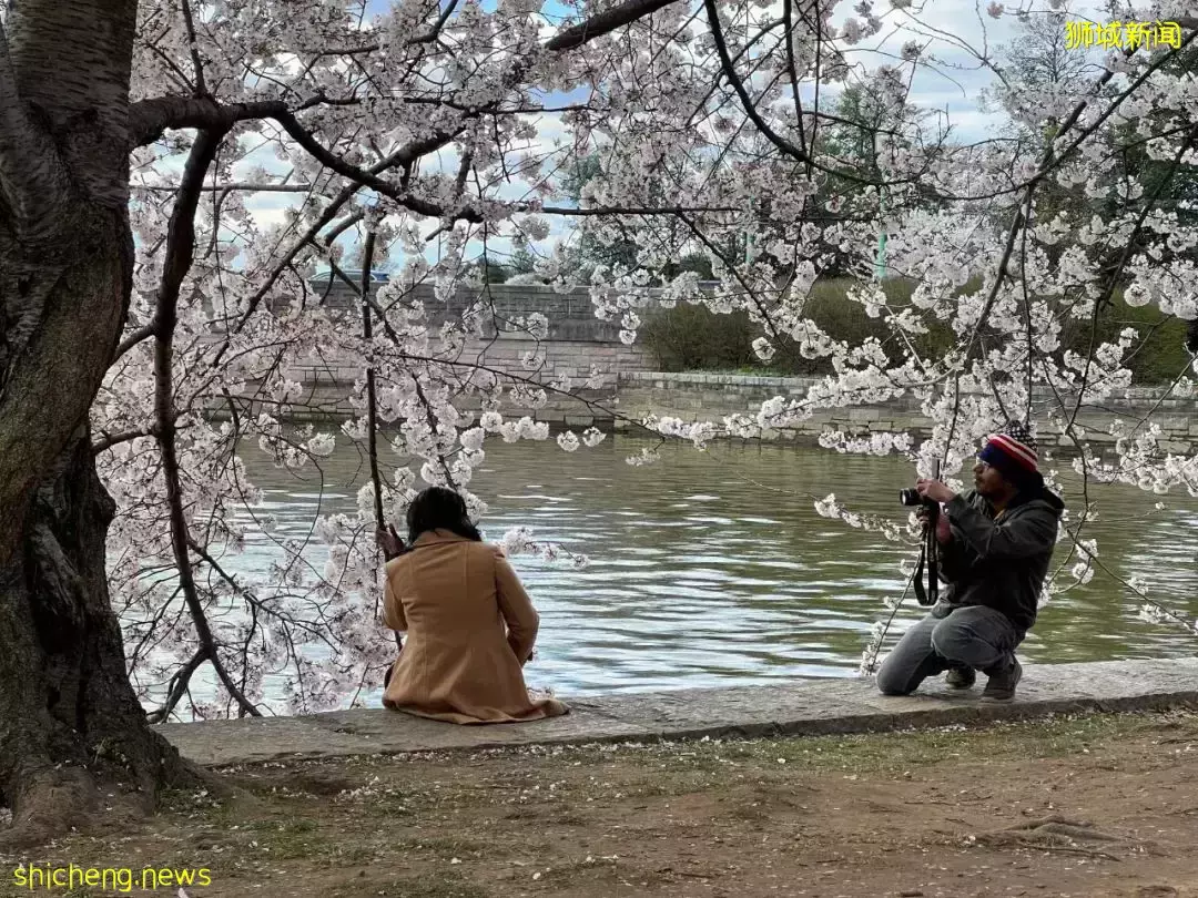 新加坡总理李显龙出访美国!打卡樱花树、白宫、还聊了这些