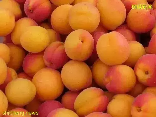 为什么同样的水果摊，你妈买的香甜可口，你买的像得罪了摊主