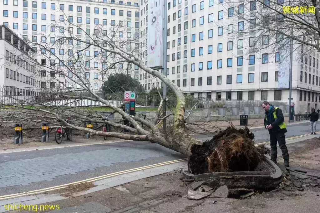 新航飞机降落时险出事!剧烈抖动差点冲出跑道!新加坡曾发生这些空难