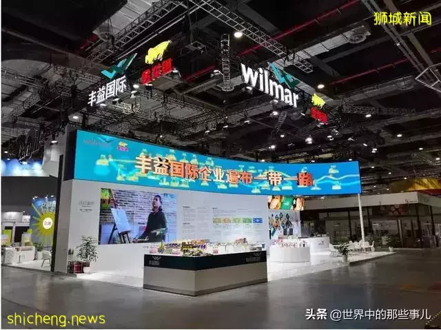 金龍魚、凱德集團竟然是新加坡公司?新加坡還有哪些産品在中國