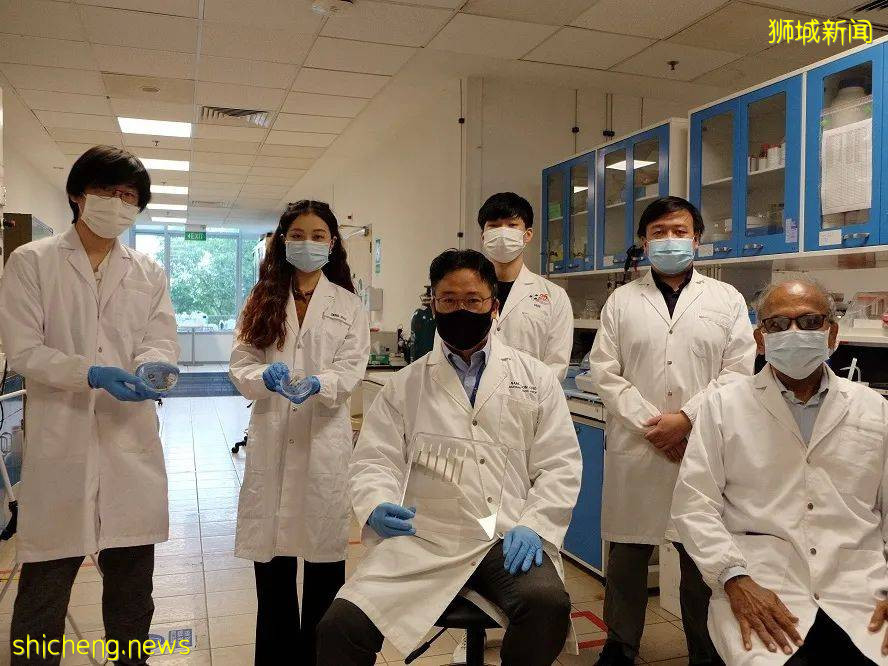 NTU 校长参与!自折叠天然植物材料研发成功