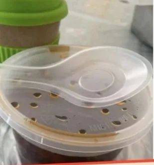 新加坡一碗清汤2元，打包费也要2元，网友们都惊呆了