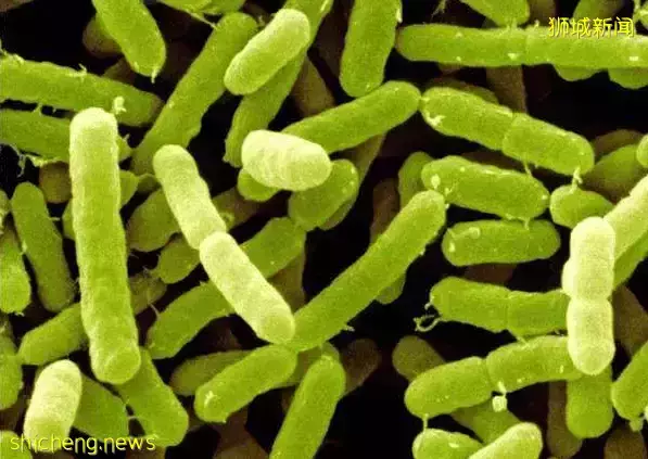 紧急召回！这款奶粉导致孩子发烧、腹泻，你在新加坡买了吗