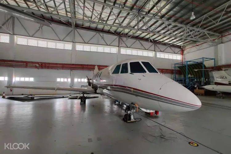 新加坡80%人還沒用旅遊消費券，6月30日到期！推薦這20個活動