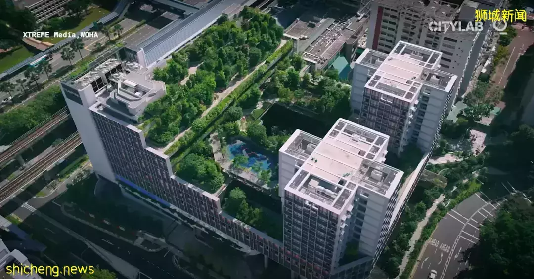 什麽是“冷卻新加坡計劃”