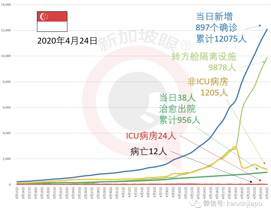 新增X，累计YYYYY | 中国在坡客工确诊近180人，其他40万中国人现状如何