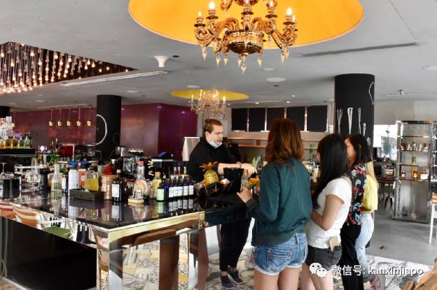 一群水獭惊现新加坡酒店,带娃带情侣开启超萌宅度假