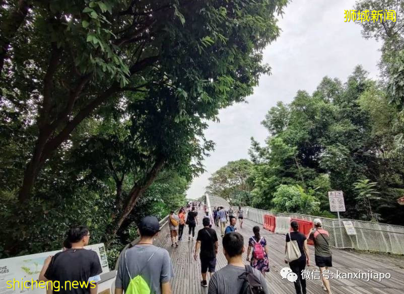 初来乍到遇上疫情,在新加坡当程序员是怎样的感觉