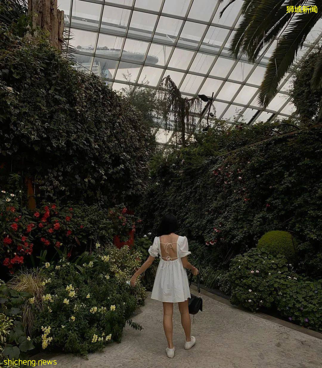 細數那些風景絕美的新加坡12家下午茶餐廳