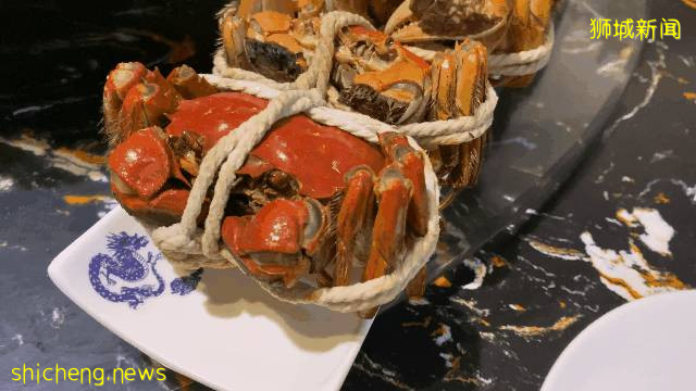 铛铛铛！萬衆期待的蟹中“小鮮肉”，舌尖六月黃大閘蟹登陸獅城啦