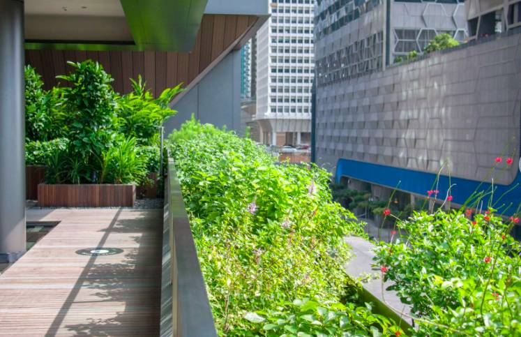 在CBD也可以擁抱綠色自然——細數新加坡那些鬧中取靜的Secret Garden