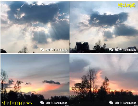 中国劳工新加坡生活录:背井离乡的酸甜苦辣