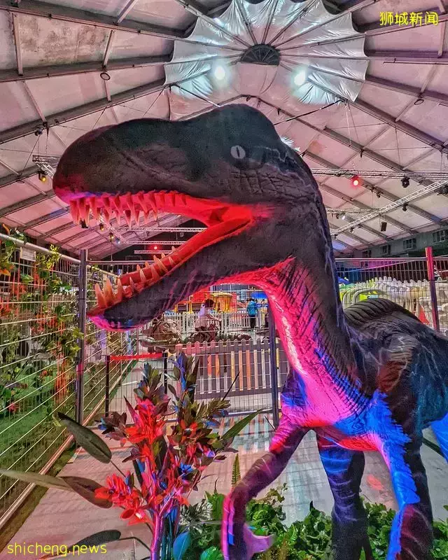 2月份吃喝玩乐攻略🎊 新品美食➕独家优惠!全新景点、活动、展出齐登场🤩