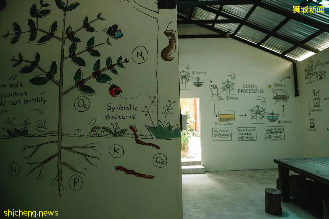 推广绿色可持续观念！新加坡中小学积极开展多样活动，学习与实际相结合