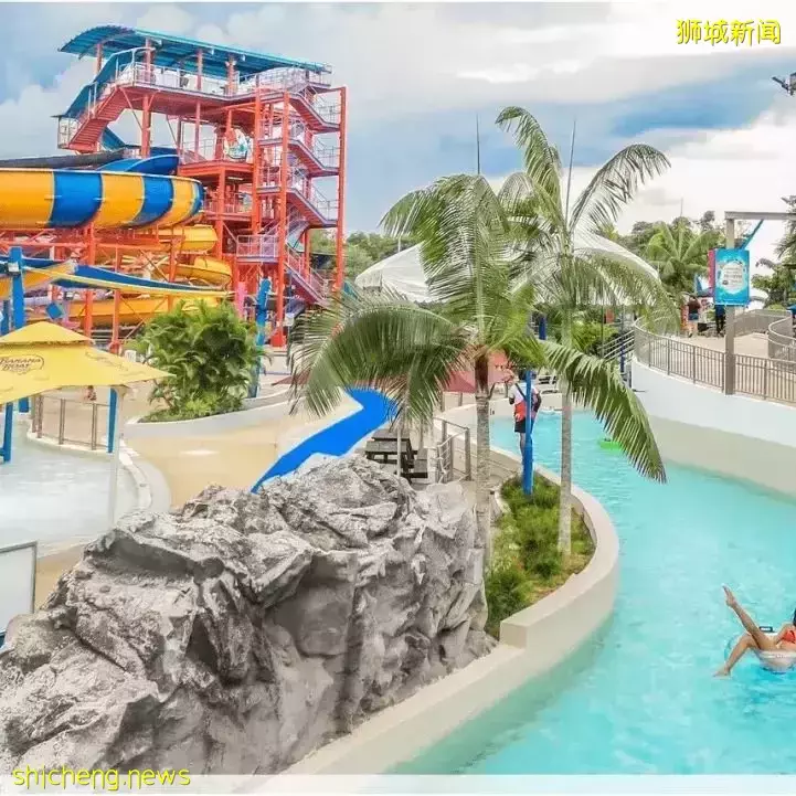 新加坡11條shuttle bus路線!直達動物園、宜家、農場、聖淘沙、醫院