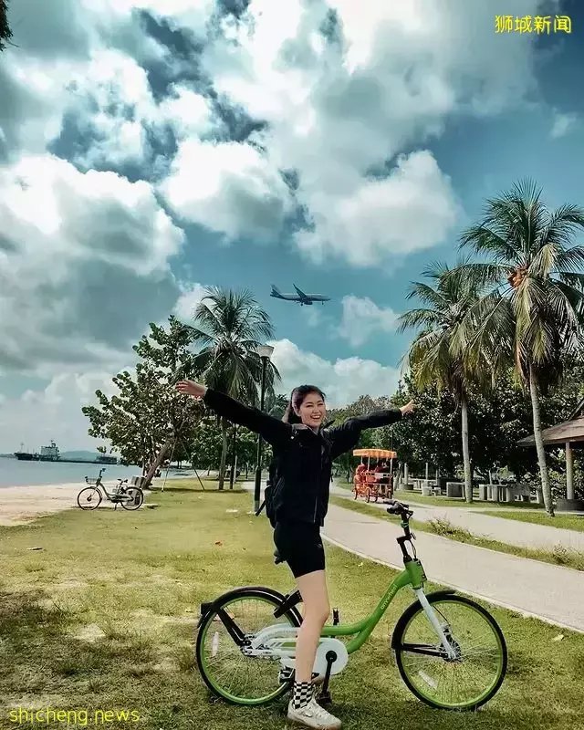 一起出外走走吧!盘点新加坡东海岸必打卡攻略🙌8大景点任你玩,更加接近大自然