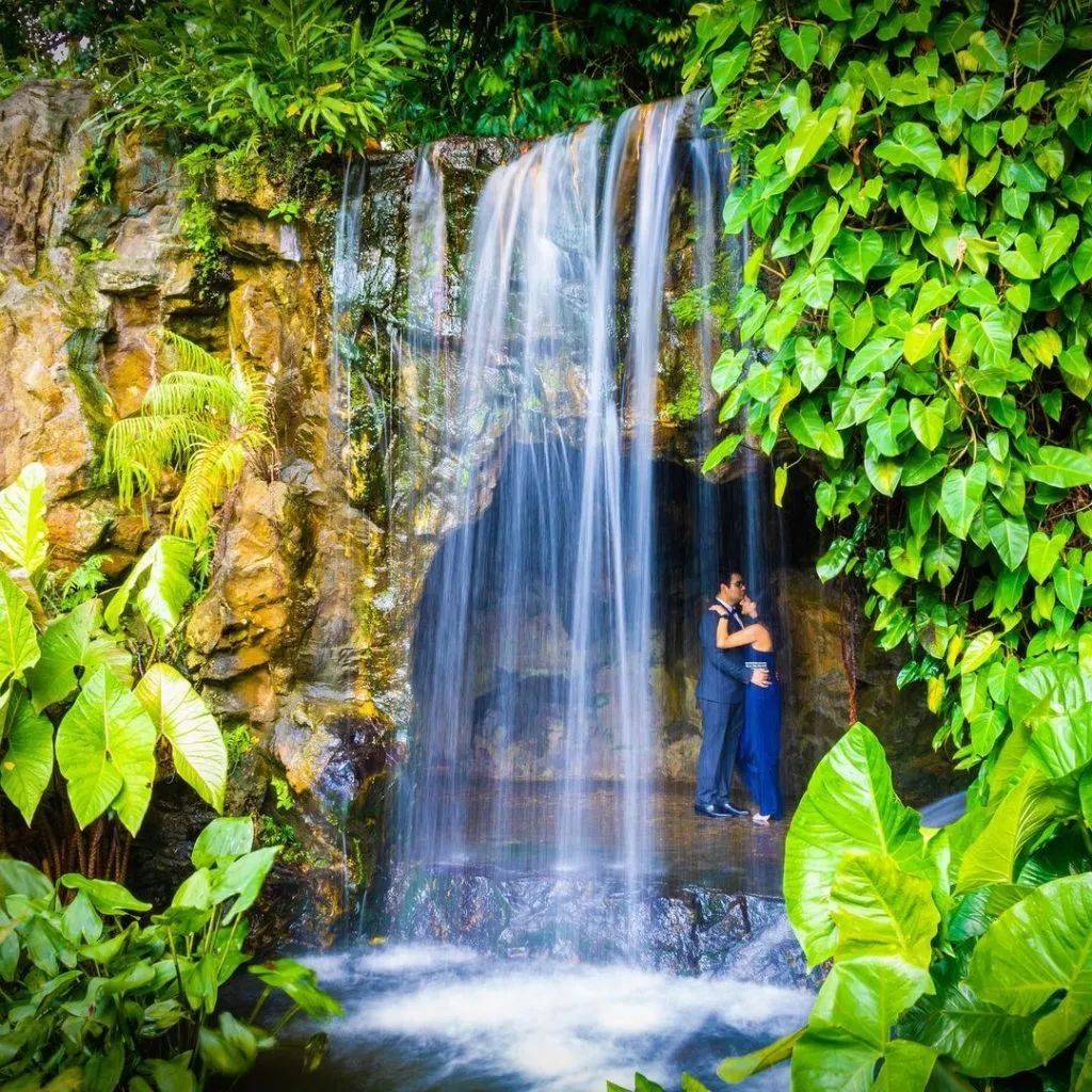 你知道新加坡的“瀑布魅力”麽