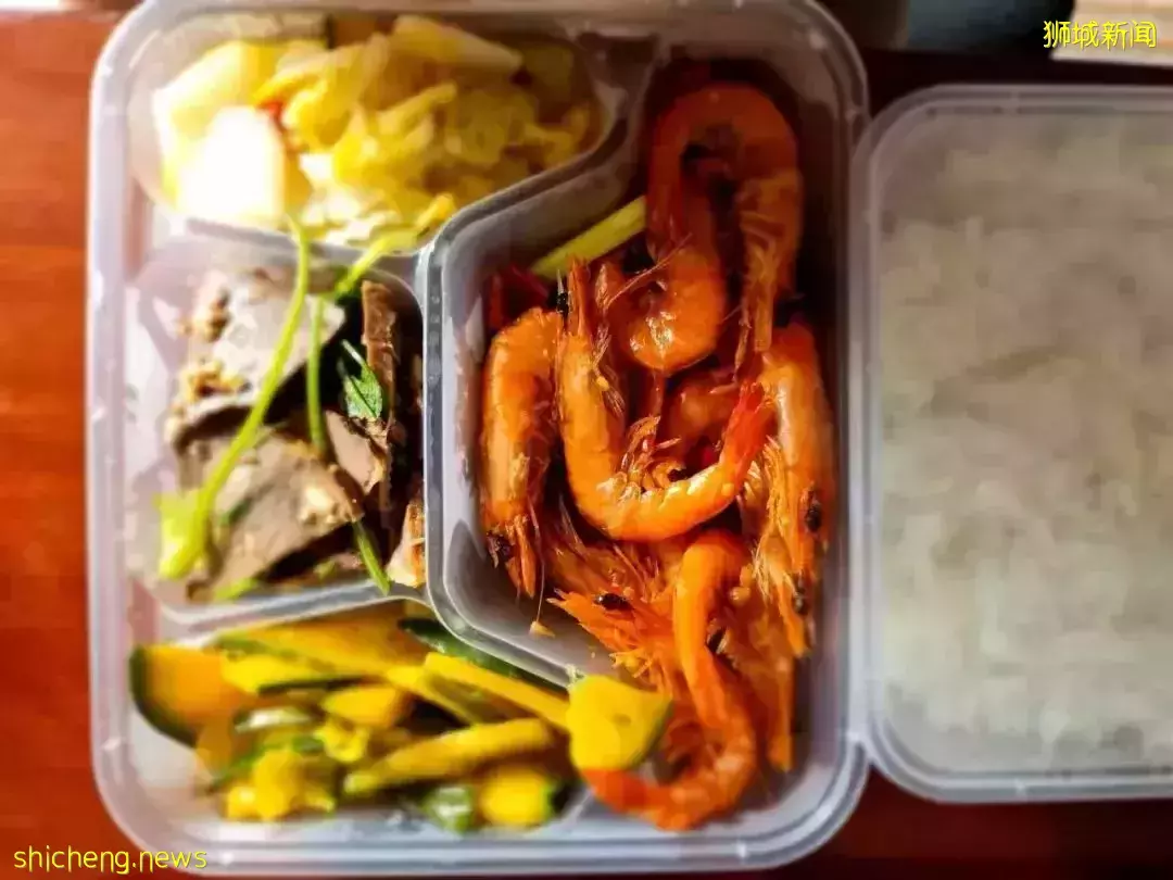 “这个春节,我终于从新加坡回到了中国”