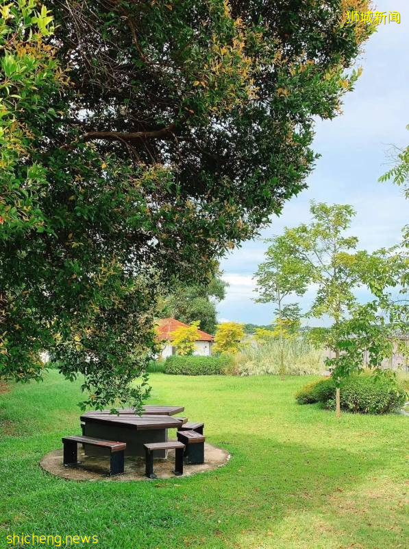 不能出国，坡里这些美食美景让你假装在国外