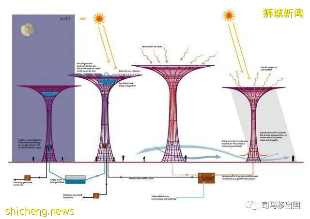 新加坡“花園中的城市”，看看這些巨樹參天的新奇景觀!