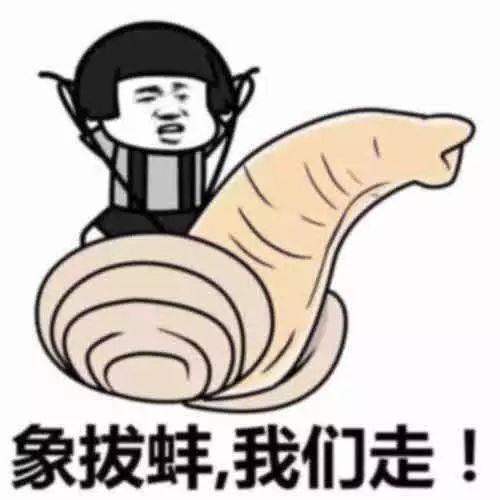 论在新加坡薅羊毛,我只服你们