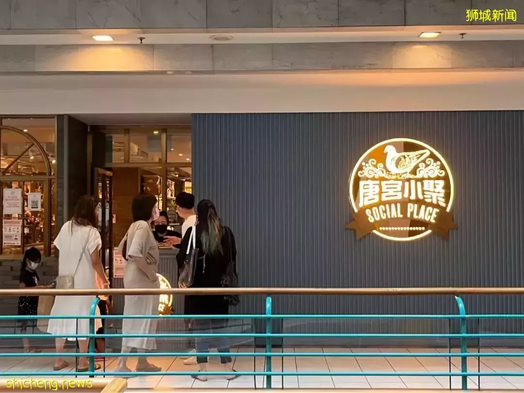 美味与颜值并存！这家乌节路港式餐厅超适合和大小闺蜜一起打卡，还有动物点心哦