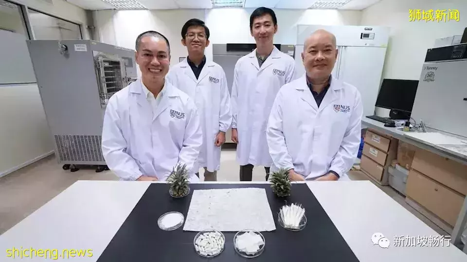 NUS团队使用菠萝叶开发低成本脂肪燃烧器