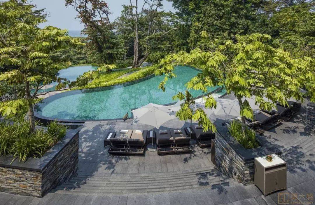 春暖花開時，遊玩新加坡