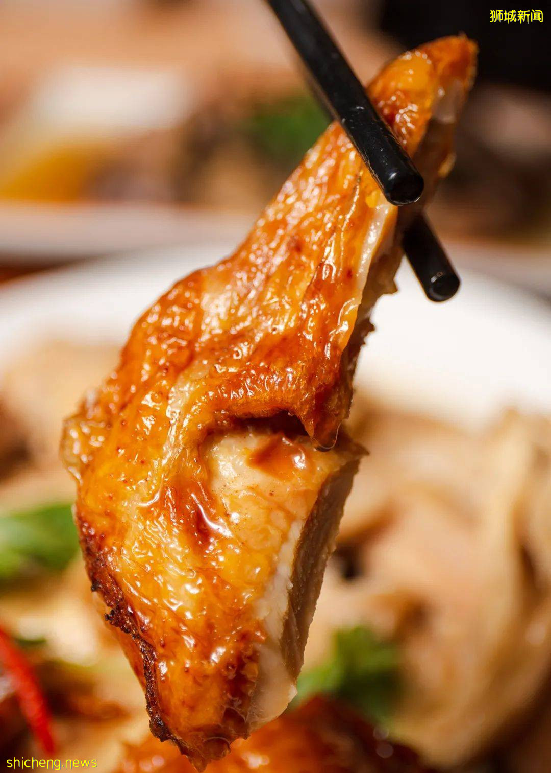 新加坡国人美食 海南鸡饭