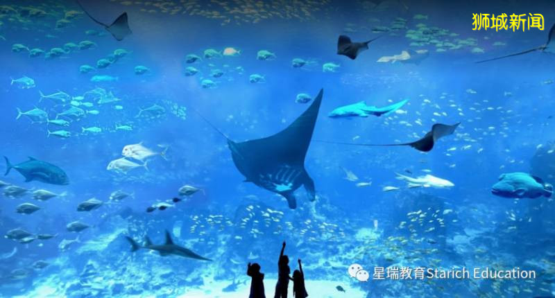 疫情後重啓，新加坡必打卡景點，一起假裝“度假”去嗎