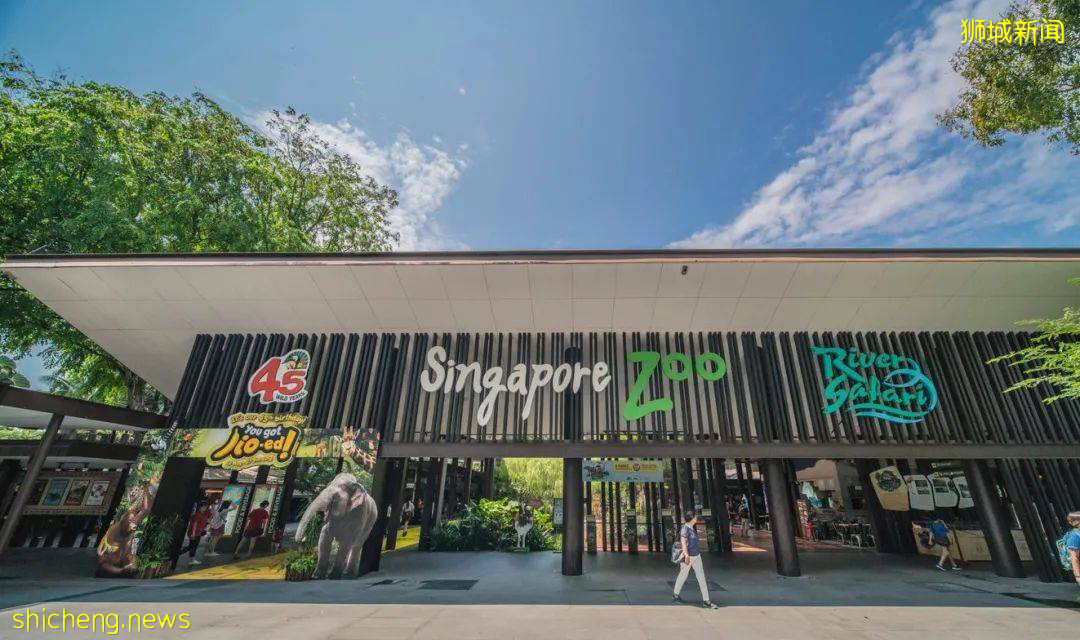 攻略獅城 即刻出發,感受“新”玩法