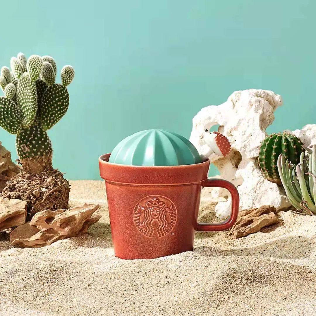 星爸爸又来剥削的钱包啦!快乐小刺猬系列可爱到爆