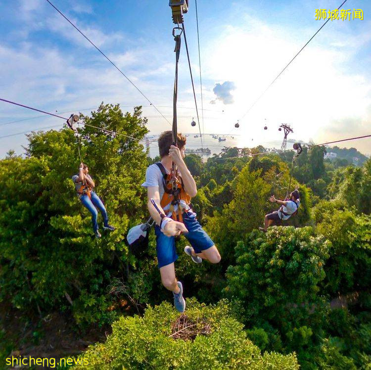 走进新加坡5个探险乐园!惊险刺激、好玩有趣,协力完成各种闯关游戏💦