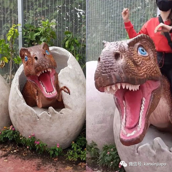 恐龙模型被女子当马骑，开放5天就少了4颗牙齿
