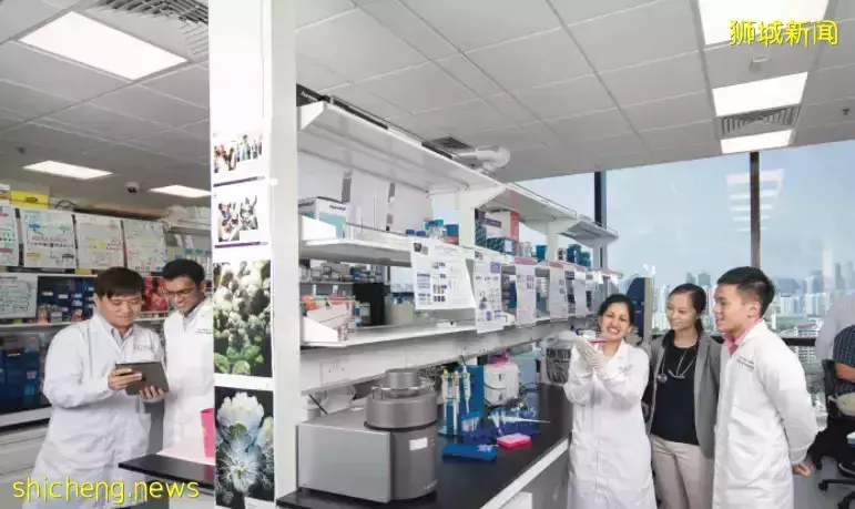 申請截止倒計時!新加坡國立大學錄取線VS南洋理工大學錄取線,你的成績達標了嗎