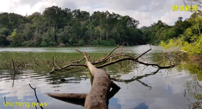 Npark对网红打卡点安装禁止入内标志,违者罚款2000新元