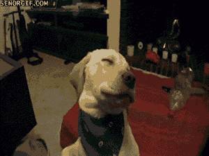 新加坡老板自爆真实面试经历:面试了7个新加坡人,祝他们好运吧