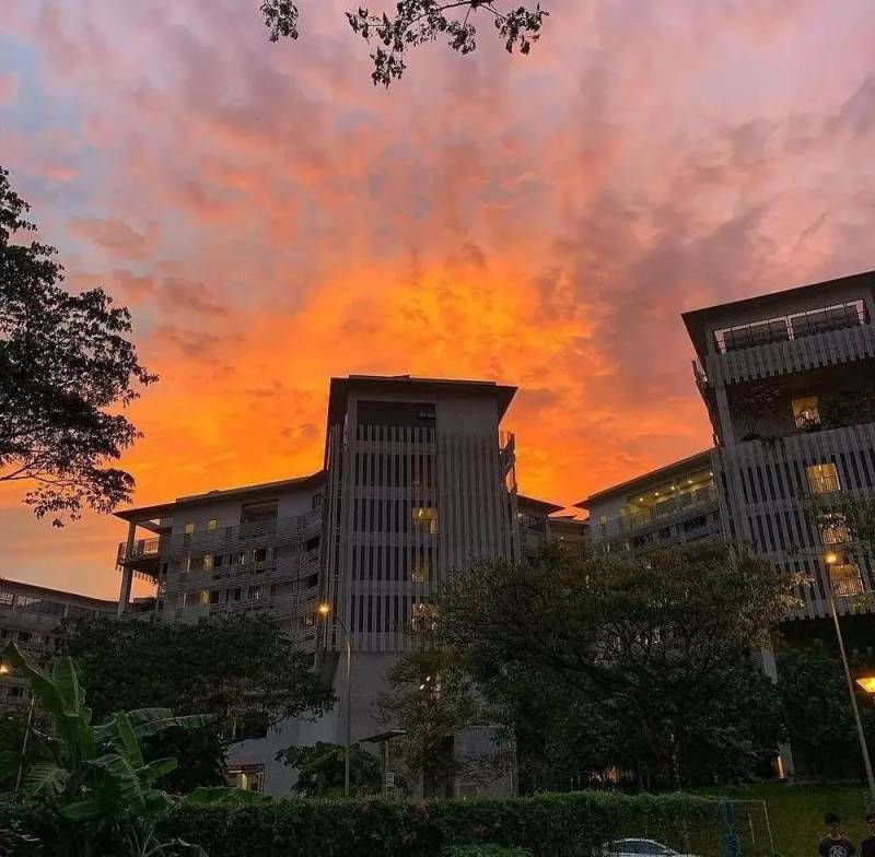 新加坡介紹！南洋理工大學