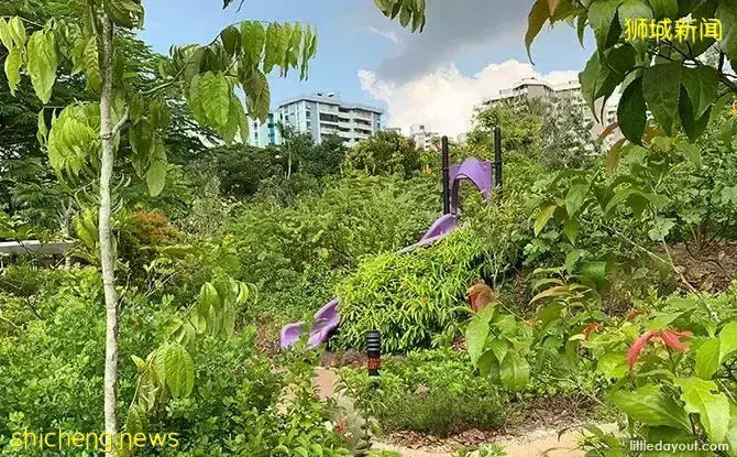免費！新加坡最適合娃的公園，蝴蝶迷宮、沙灘小灣、瀑布、滑梯秋千