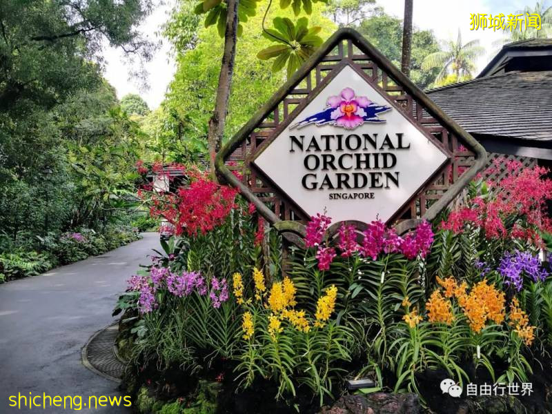 疫情過後,去新加坡不可錯過的16個體驗!