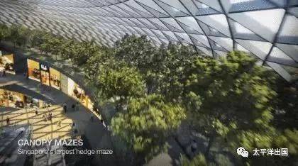 移民新加坡, 这里总有一个让你心动的理由