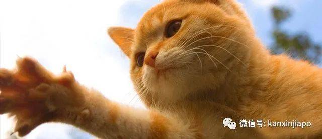 Get~在新加坡選衣櫥的正確打開方式