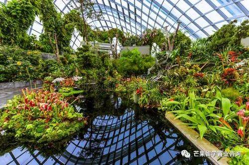 2030年新加坡将变成这样,全岛花园扩建、新建走廊和连道