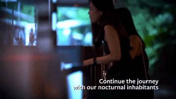 在新加坡野生動物園來一場VIP營地晚宴是怎樣非凡的體驗