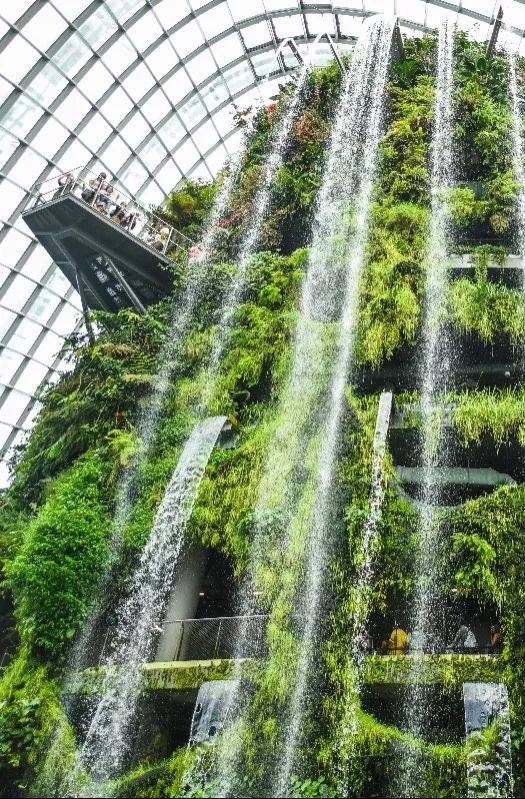 新加坡留学 女孩子留学选择哪个国家?新加坡环境养眼,更是安全