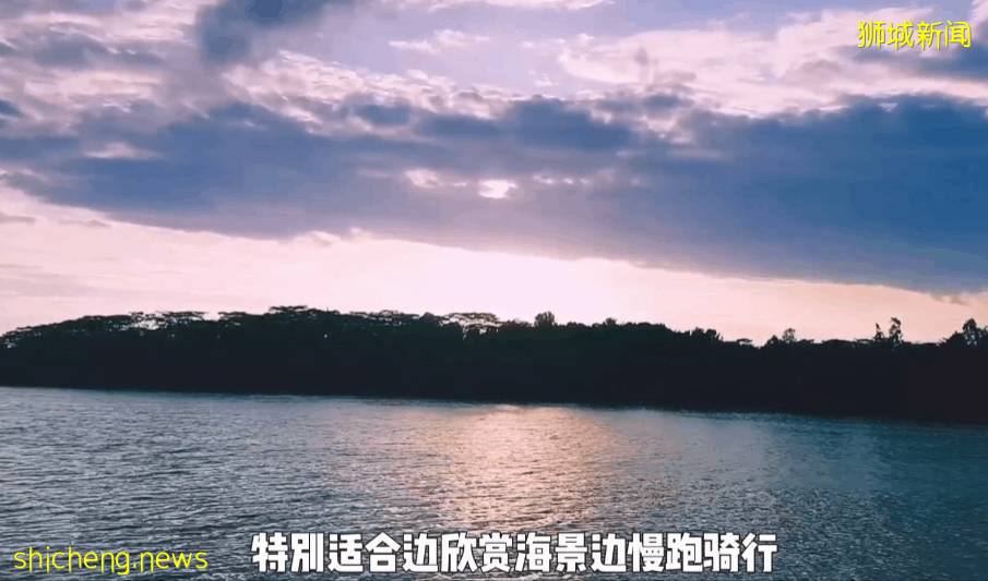 疫情不再宅家!新加坡10个超美户外蓄水池走起~人少风景好