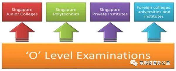 和明星還有駐新外交使節或跨國公司高管的子女做同學？強大朋友圈